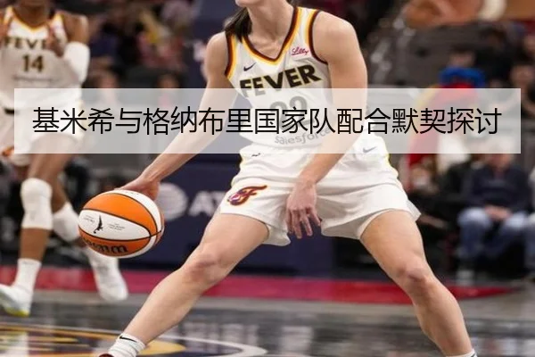 基米希与格纳布里国家队配合默契探讨